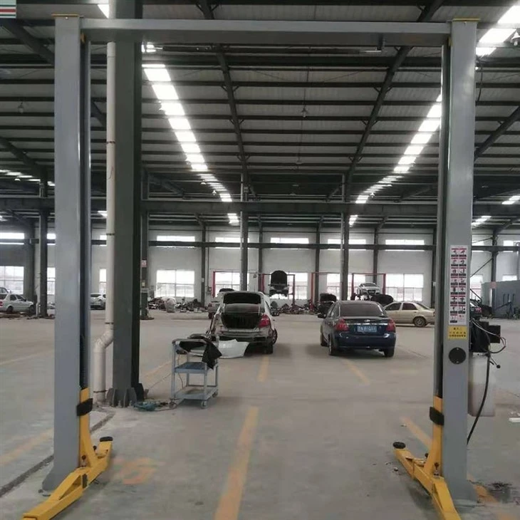 Double Mast Lift For Car